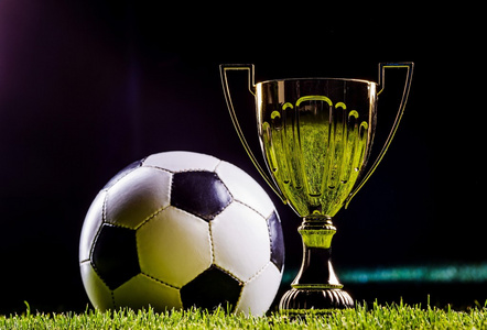 曾小强的故 曾小强的故